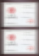 荣誉资质